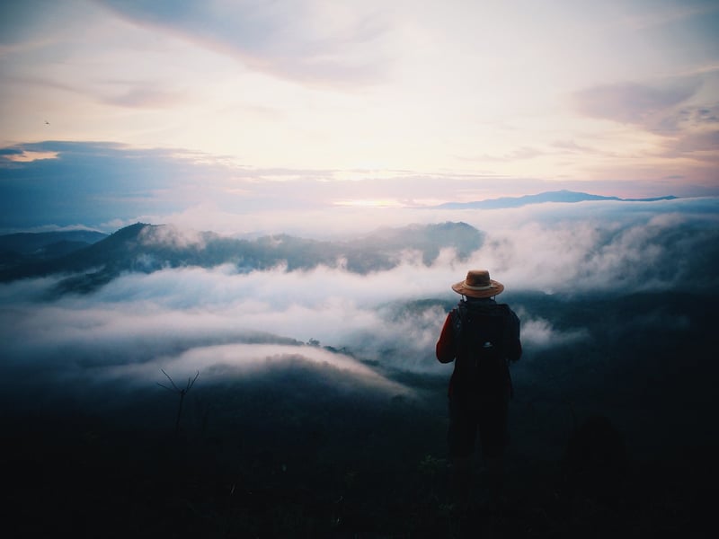 Traveler